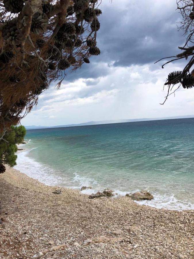 Oaza Mira Mobile Houses - Camp Basko Polje #Bestoffer Baška Voda Extérieur photo