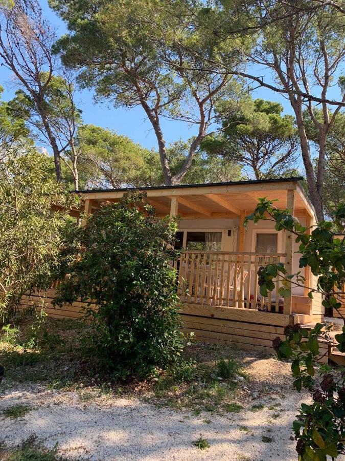 Oaza Mira Mobile Houses - Camp Basko Polje #Bestoffer Baška Voda Extérieur photo